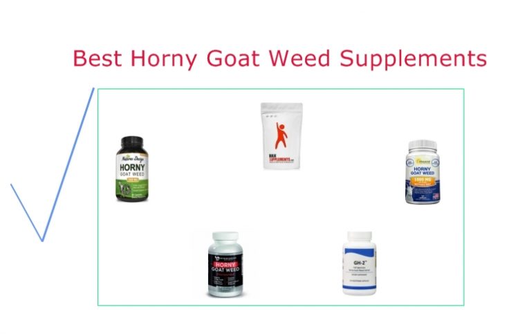 Best Horny Goat Weed Supplements Autumn Damask